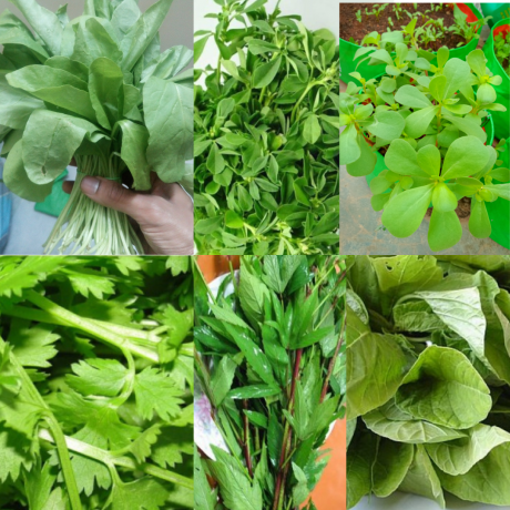 Leafy Vegetables