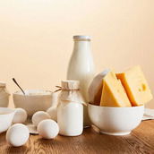 Egg & Dairy Products
