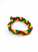 Satvam Multicolored Band – image 1