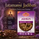 Jatamasi 100gms – image 1