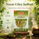 Sanatan Neem Giloy 100gm – image 1