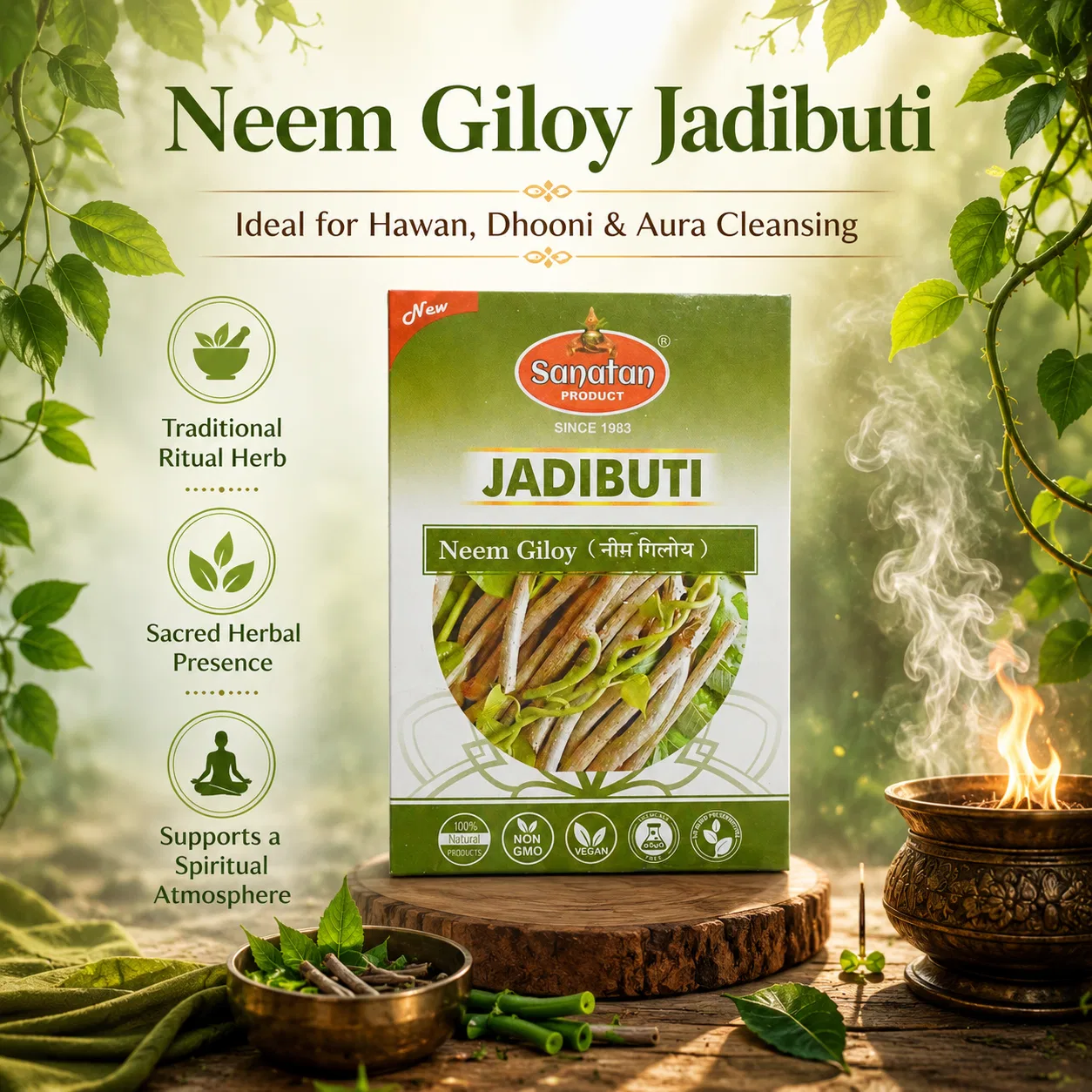 Sanatan Neem Giloy 100gm