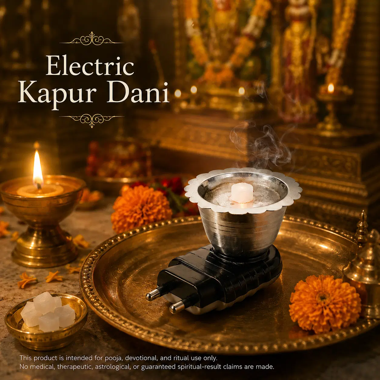 Electric Kapur Dani