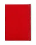 Hanuman Ji Chalisa Hard Case – image 4