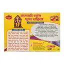 Ganpati Stambh Pooja Kit  – image 3