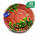 Disposable plates 14 no, Pack of 20 pieces – image 1