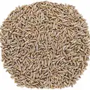 Jeera Sabut | Whole Cumin Seeds (loose) – image 1