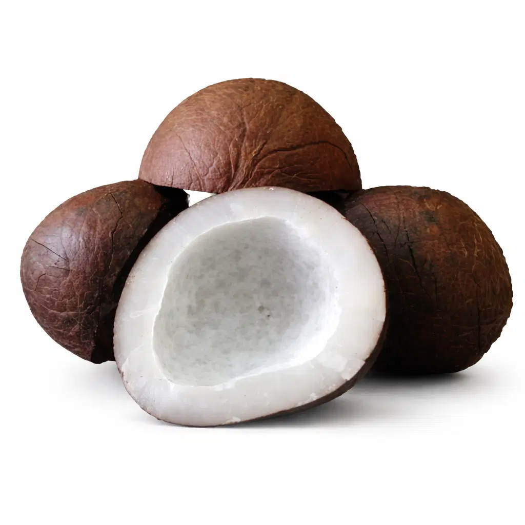 Dry Coconut | Khopra | Dab | Sukha Nariyal | Gat 100gm