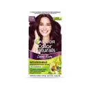 Garnier, Hair Colouring Creme, Long-lasting Colour, Smoothness & Shine  70ml + 60g – image 1