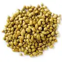 Dhania Sabut | Coriander Seeds | Gota Dhaniya (loose) – image 1