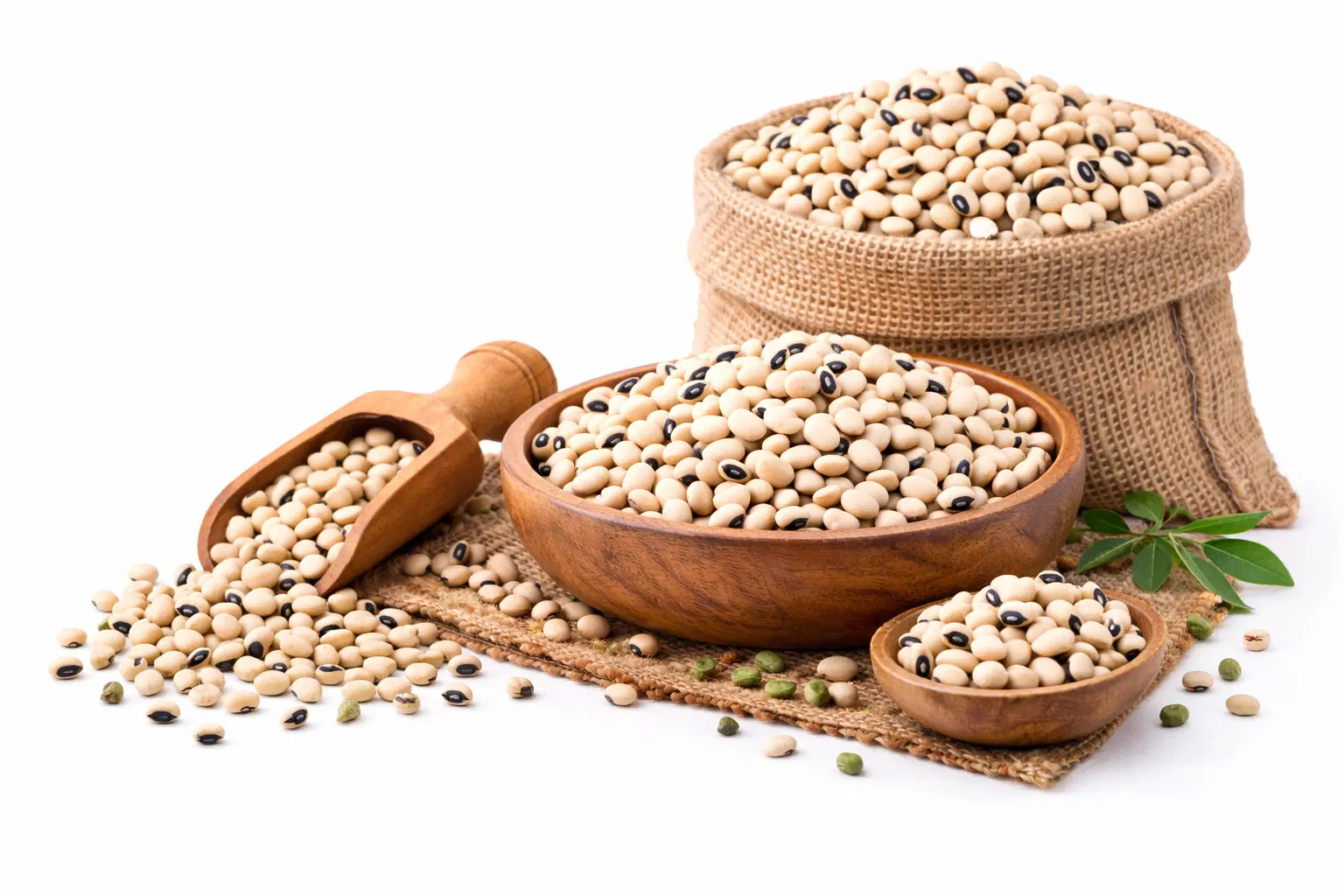 Lobia/Black-eyed beans/Black-eyed peas/Cowpeas(loose)