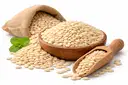 Magaj Seeds | Watermelon Seeds I Tarbuj Beej | Rich in Protein | Potassium | Magnesium & Iron – image 1