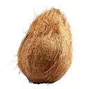 Mature Coconut or Nariyal (Narikol) – image 1
