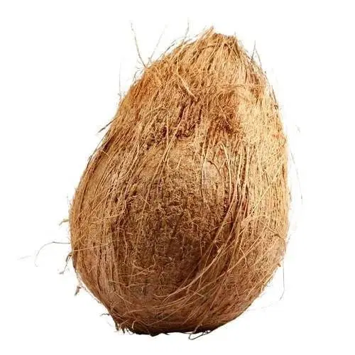 Mature Coconut or Nariyal (Narikol)
