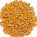 Methi Dana | Fenugreek Seeds (loose) – image 1