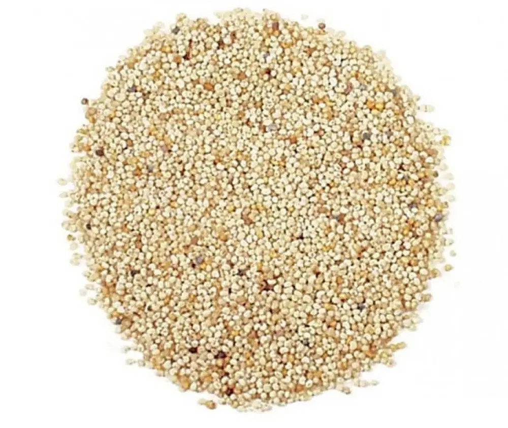 Poppy Seeds | Aapuguti (loose)