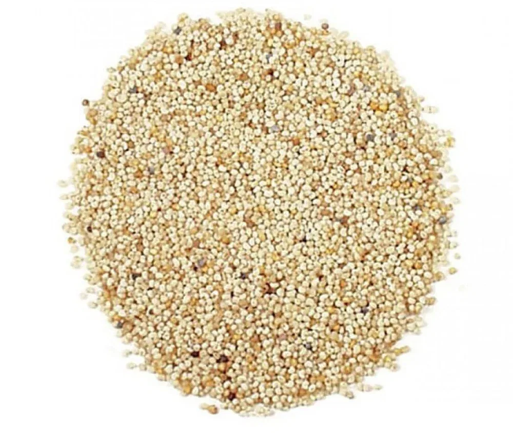 Poppy Seeds | Aapuguti (loose)
