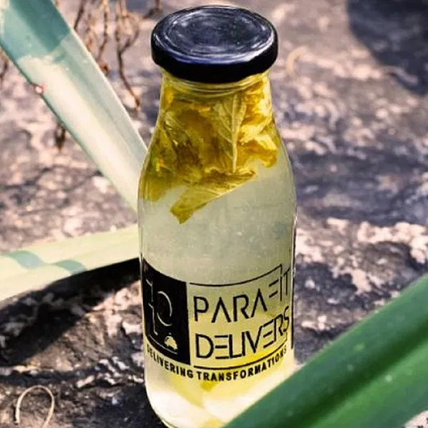Nimbu Paani with Fresh Mint
