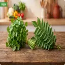 1 Bunch Fresh Coriander + 1 Bunch Curry Leaves – image 1