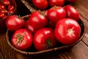 Tomato – image 1