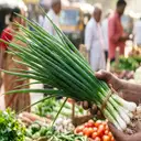 Spring Onion (Hari Pyaz) – image 1