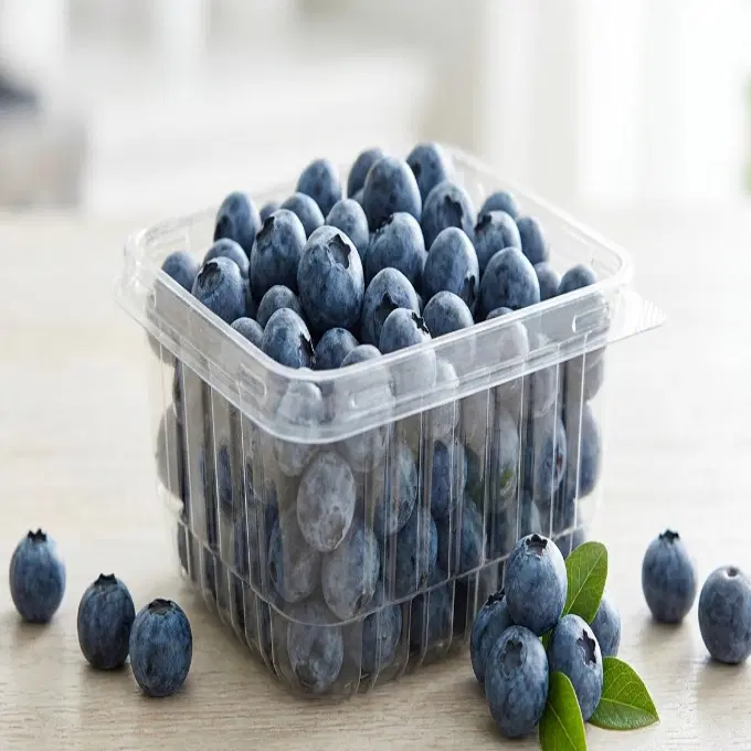 Blueberry - Imported