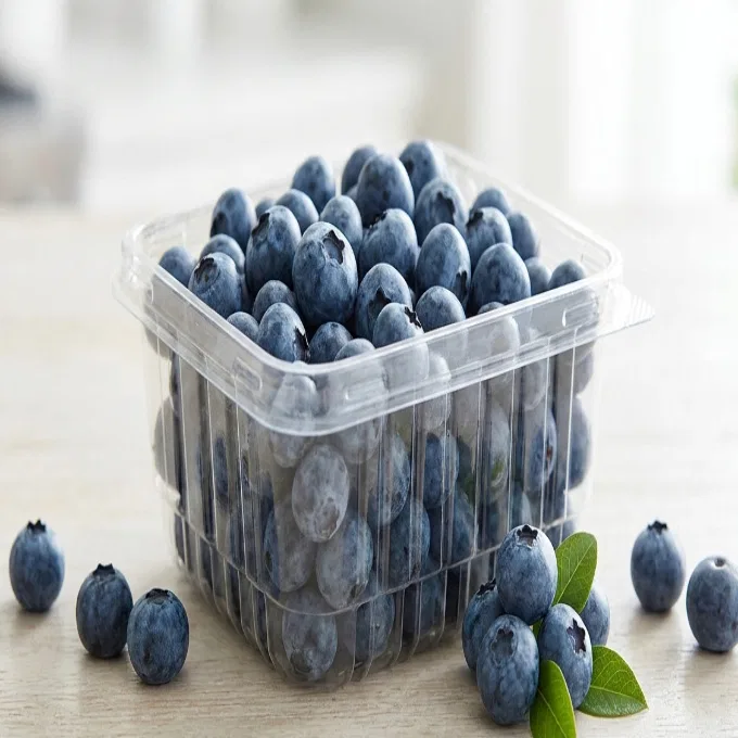 Blueberry - Imported