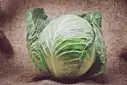 Cabbage (Patta Gobhi) – image 1