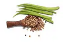 Cluster Beans (Gwar Phali) – image 1