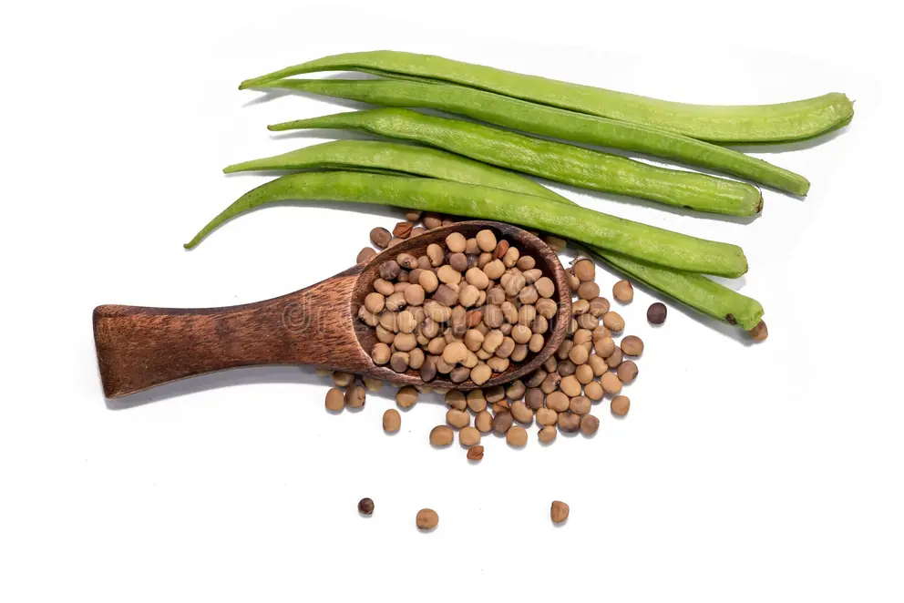 Cluster Beans (Gwar Phali)