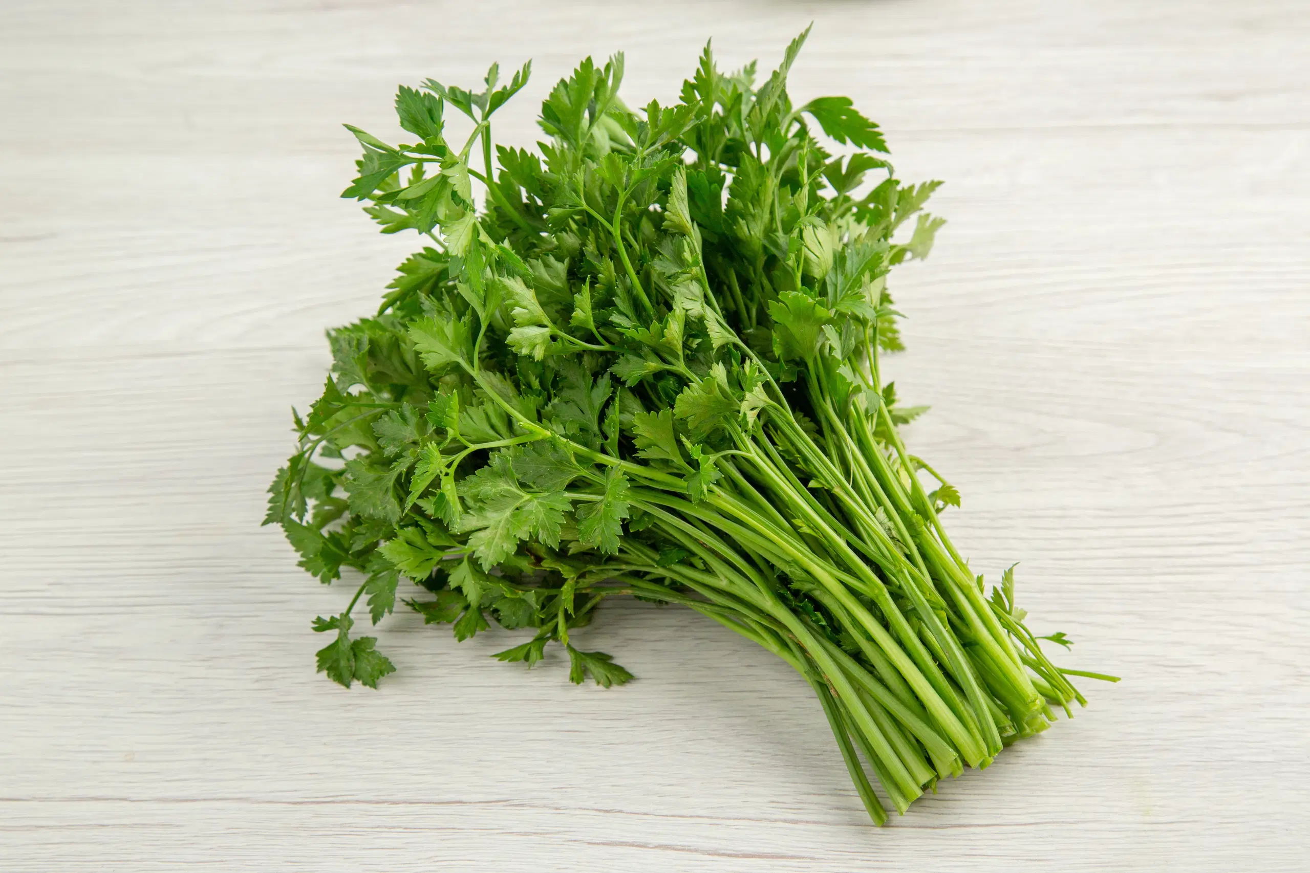 Coriander Bunch (Dhaniya Patta)