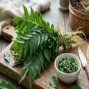 Curry Leaves (Kadi Patta) – image 1