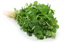 Fenugreek (Methi) – image 1