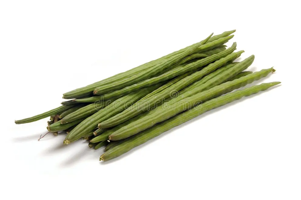 Drumstick (Sahjan)