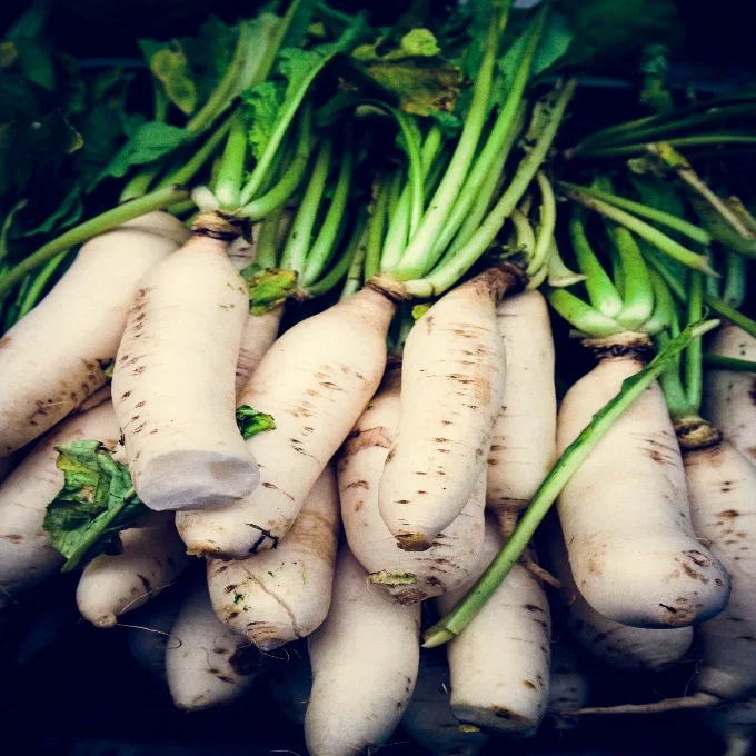 Radish (Mooli)