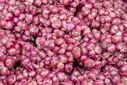 Sambhar Onion – image 1