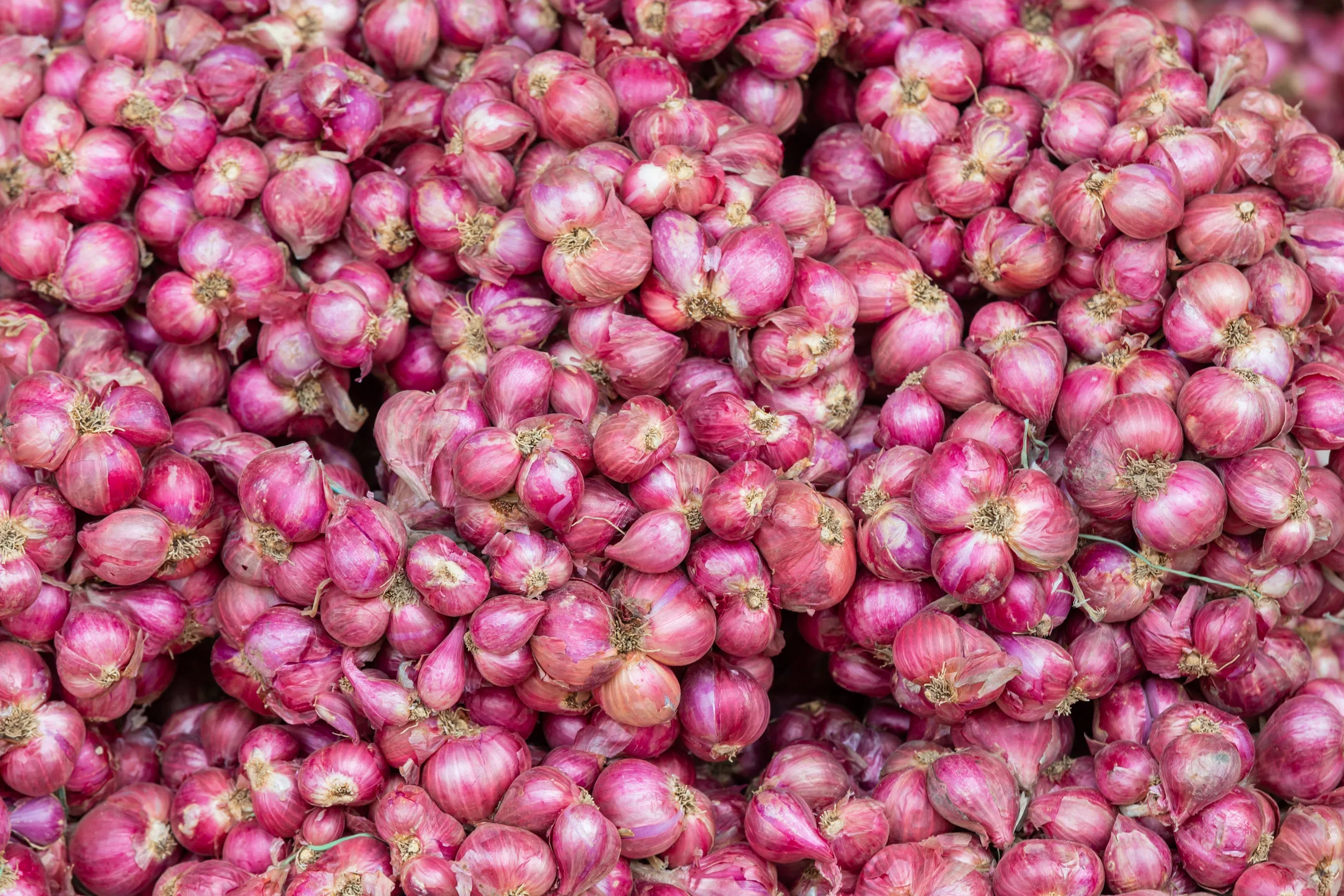 Sambhar Onion