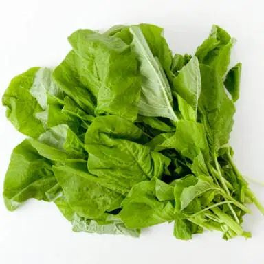 Amarnathus Green Cleaned Without Root