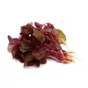 Amaranathus Red Cleaned Without Roots – image 1