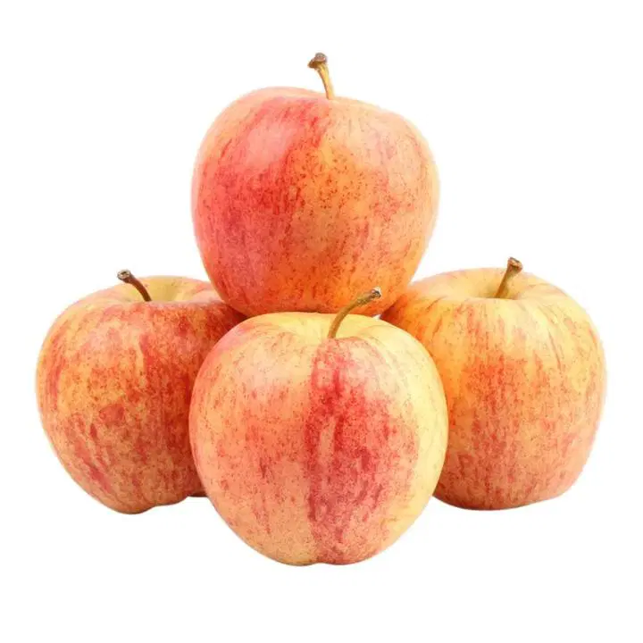 Apple Fresh Royal Gala Economy