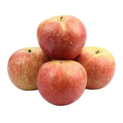 Apple Fuji Premium