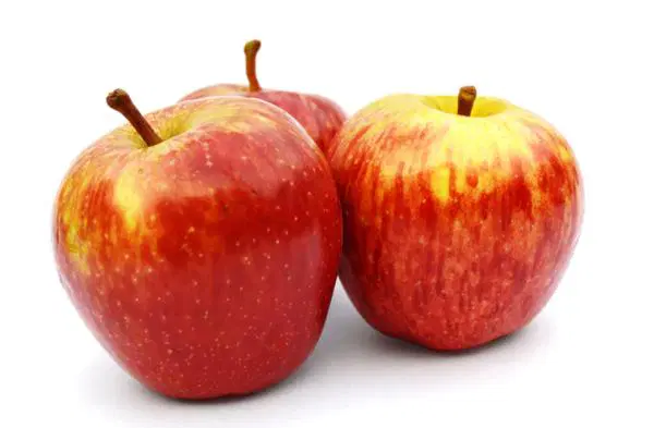 Apple Fuji Regular