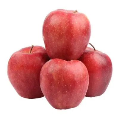 Apple Red Delicious Economy