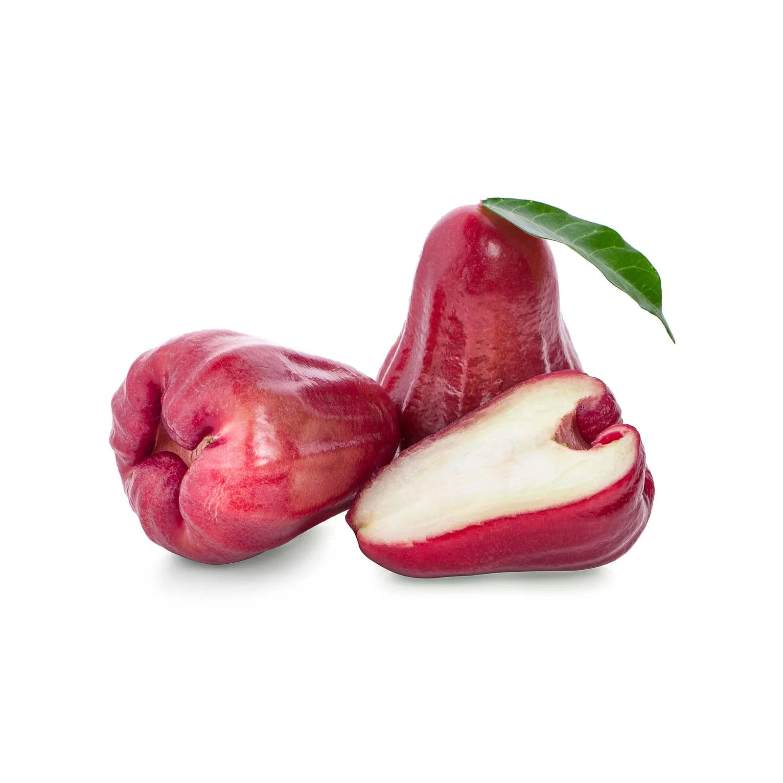 Apple Rose