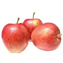 Apple Royal Gala Premium – image 1