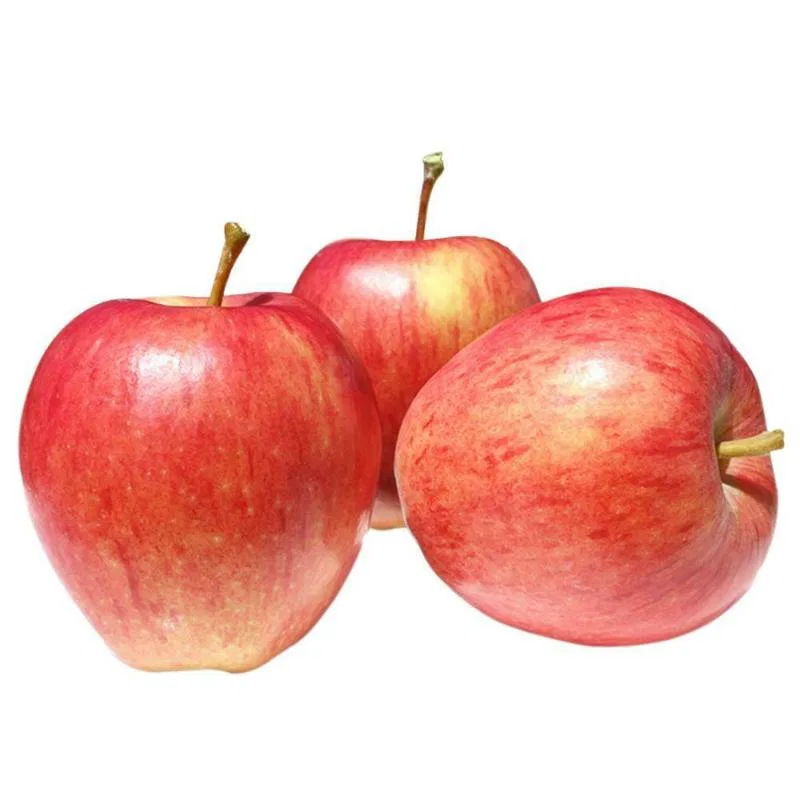 Apple Royal Gala Premium