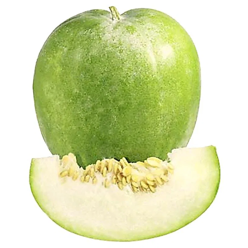 Ash Gourd