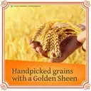 Aashirvaad Select Whole Wheat Sharbati Atta – image 4