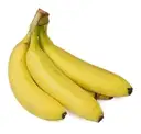 Baby Banana Robusta – image 1