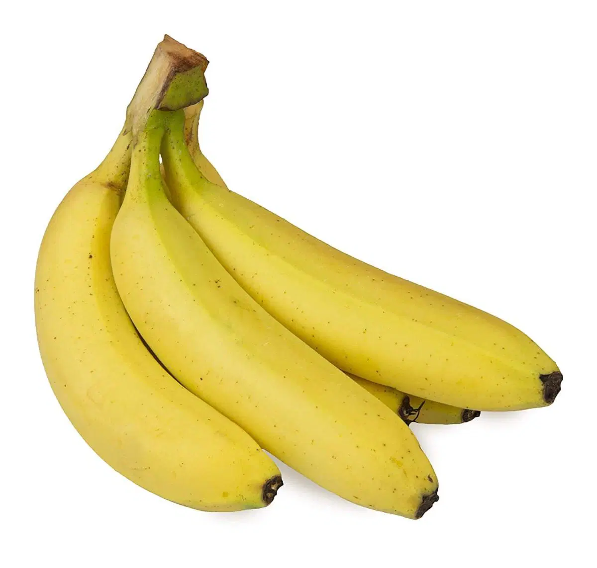 Baby Banana Robusta
